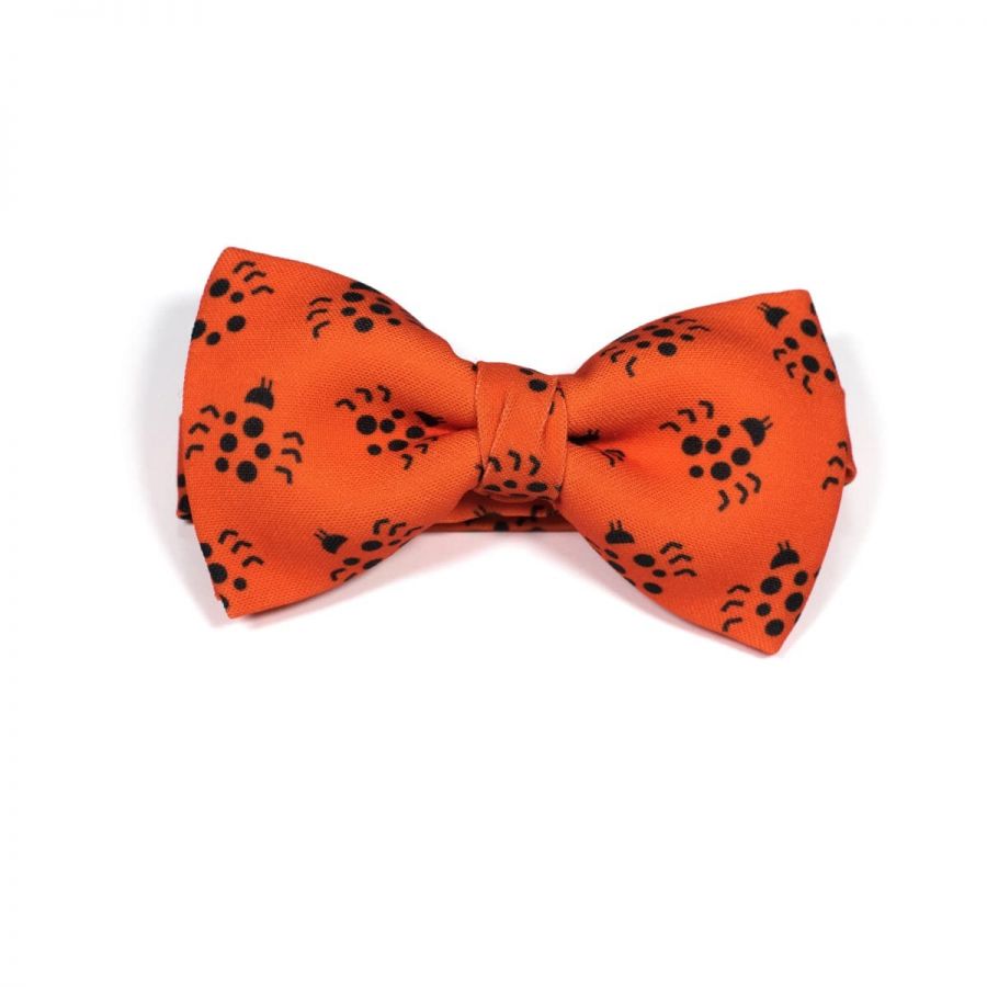 Insect Ladybird Classic Bow Tie