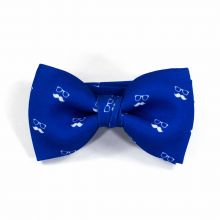 Colton Blue Classic Bow Tie